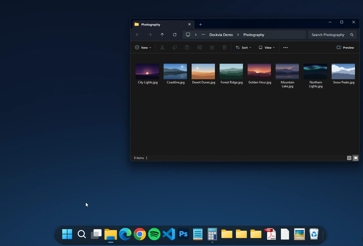 The Photography File Explorer window in focus on the desktop after its preview was selected